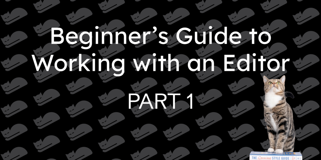 Beginner's Guide to Working with an Editor Part 1