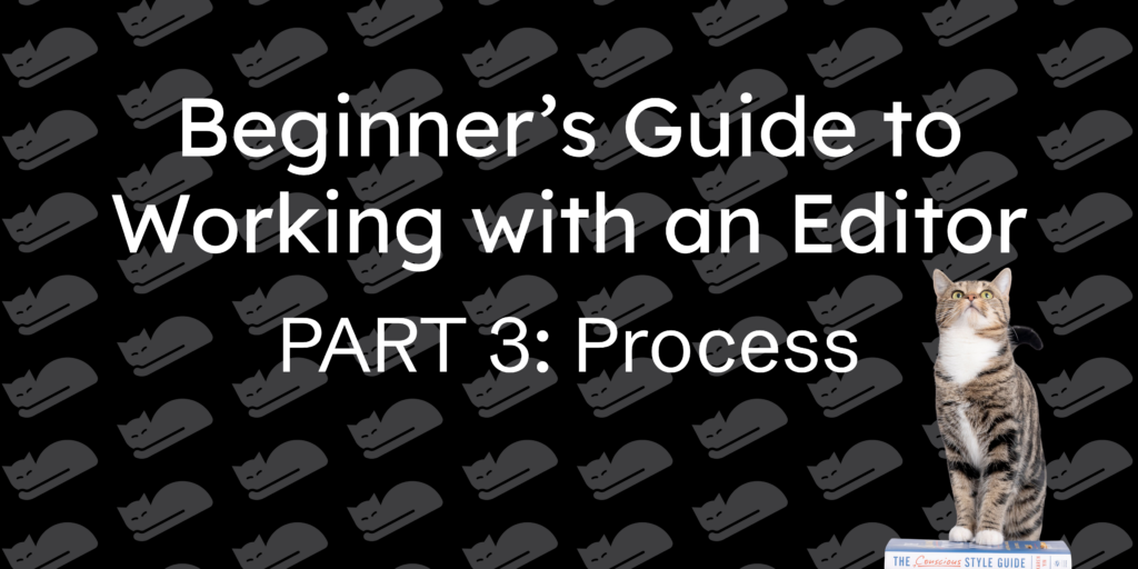 Title image for Beginner's Guide to Working with an Editor Part 3 (Process)